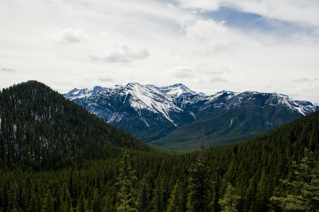 Alberta Mountains