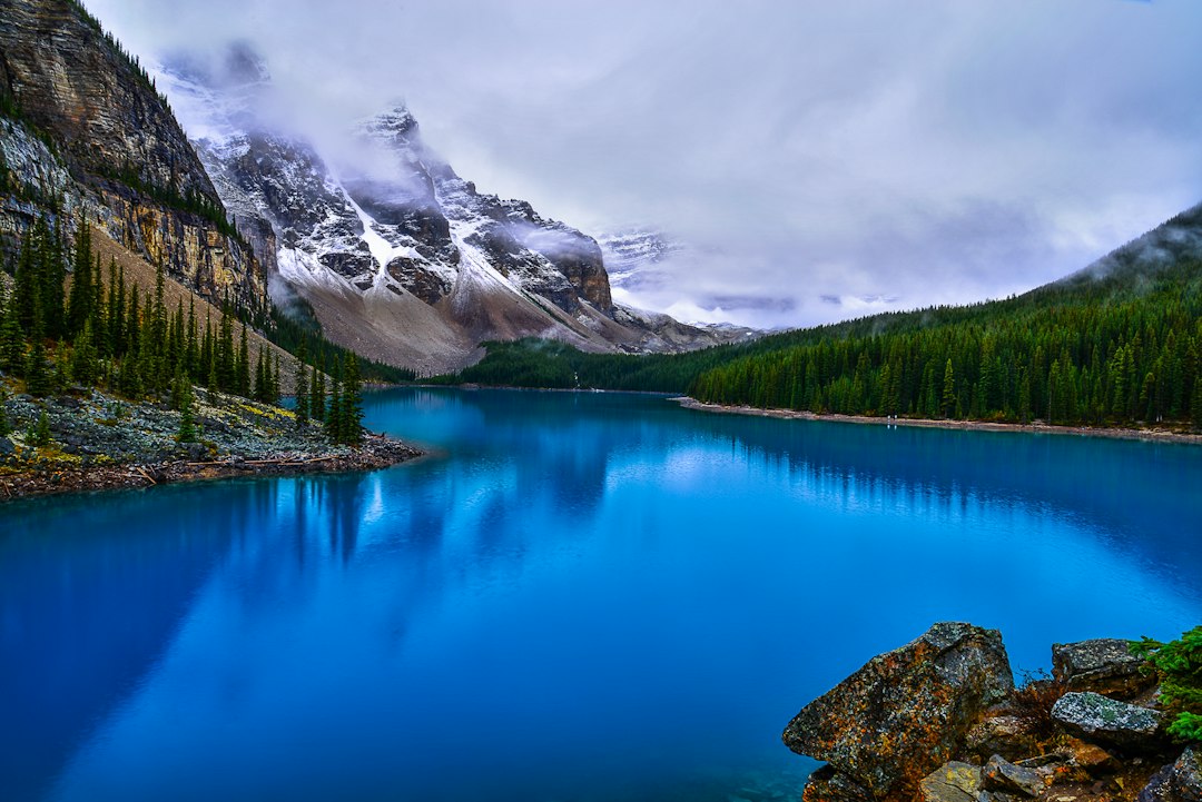Alberta landscape